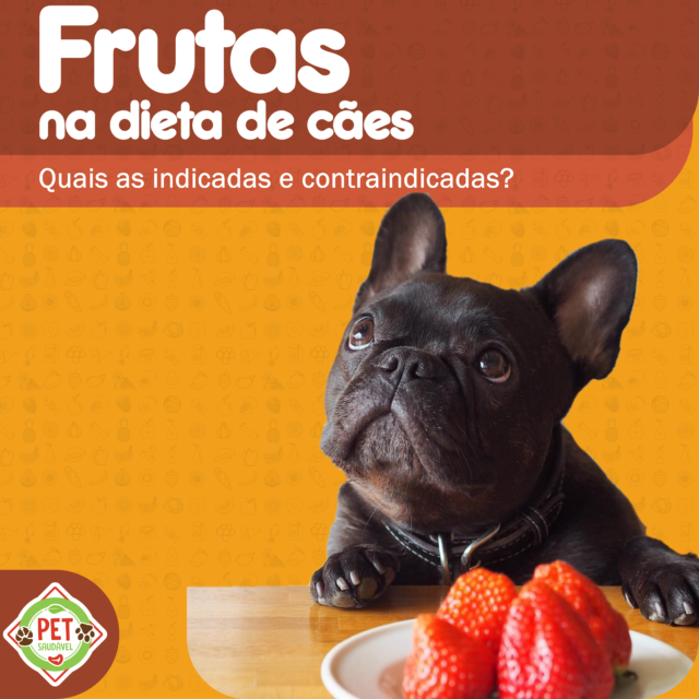 https://www.petsaudavel.vet.br/wp-content/uploads/2020/02/Frutas-laranja-1-640x640.png
