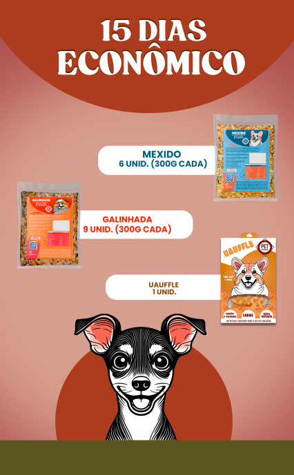 KIt 15 Dias Econômico