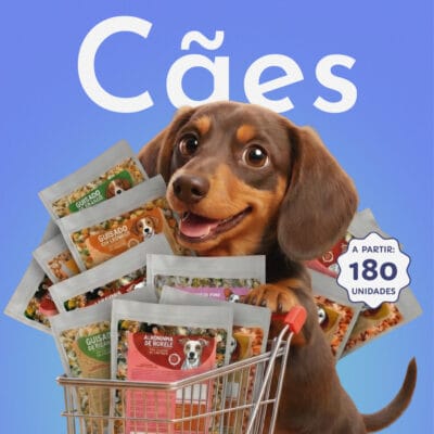 Kit Semestral - Cães