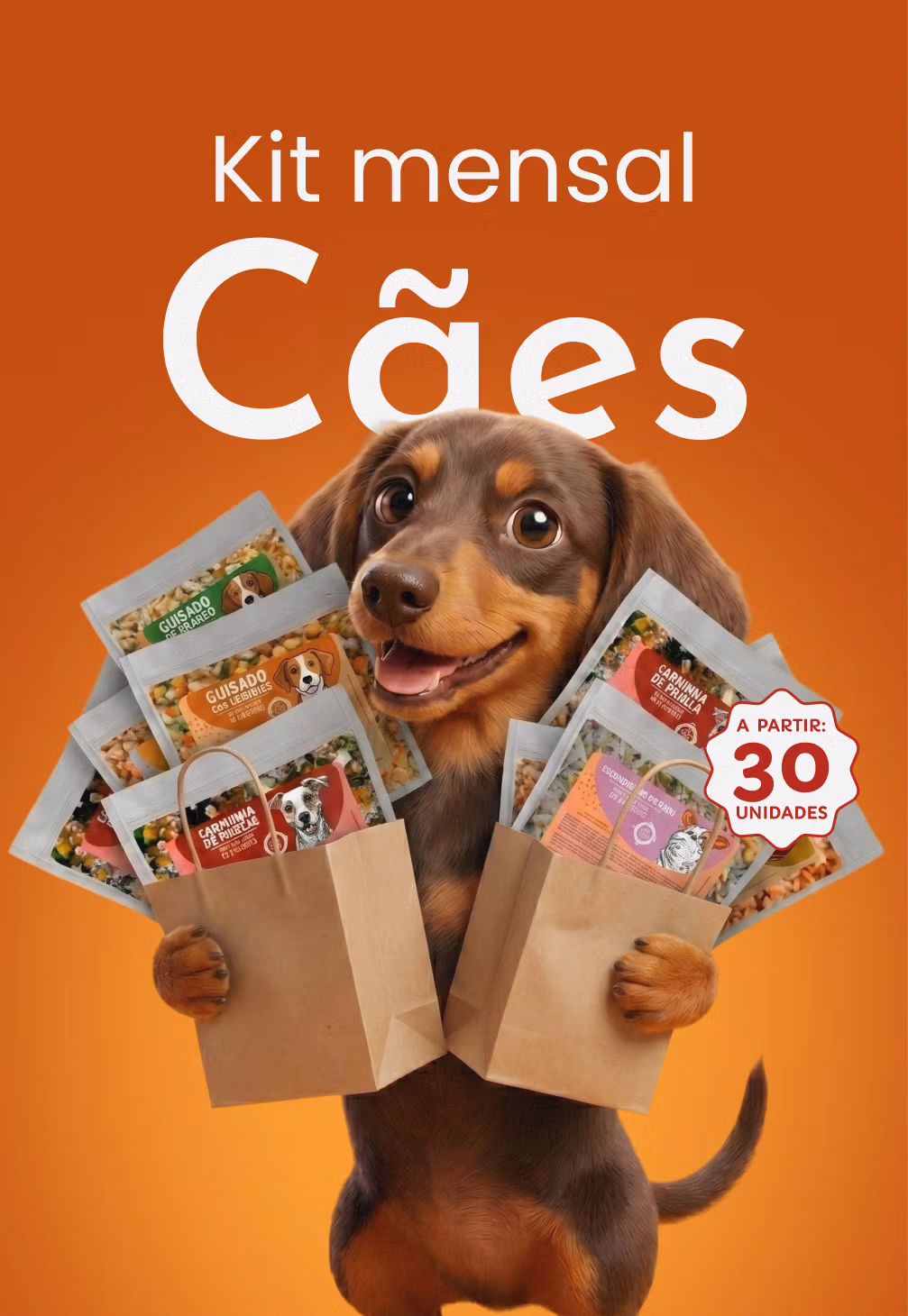 Kit Mensal - Cães